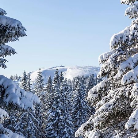 Waldblick Titisee Exterior foto
